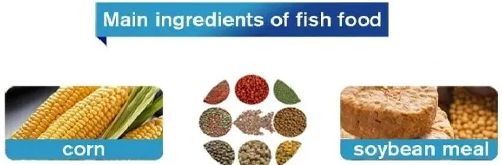 info-732-241 info-732-241